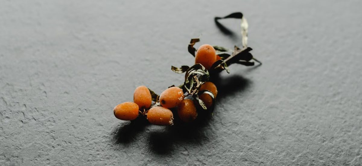 Detailed view of ripe sea buckthorn berries on a gray slate background, showcasing texture and color.